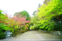 光明寺2