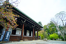 光明寺4