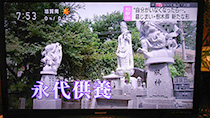 NHK和歌山放送『あすのWA』 NHK大阪『おはよう関西』 2