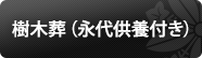 樹木葬（永代供養付き）
