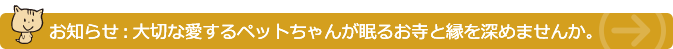 お知らせ：終焉活動の相談相手として、泰聖寺との縁を深めませんか。